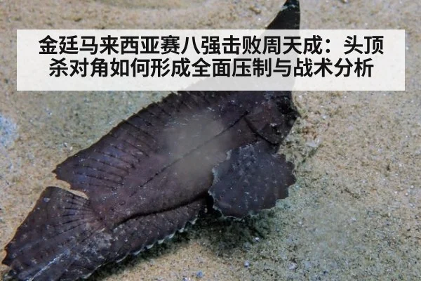 金廷马来西亚赛八强击败周天成：头顶杀对角如何形成全面压制与战术分析