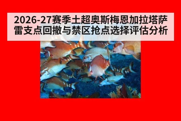 2026-27赛季土超奥斯梅恩加拉塔萨雷支点回撤与禁区抢点选择评估分析