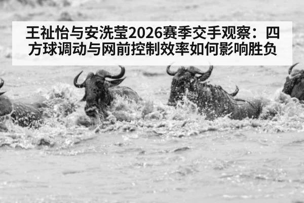 王祉怡与安洗莹2026赛季交手观察：四方球调动与网前控制效率如何影响胜负